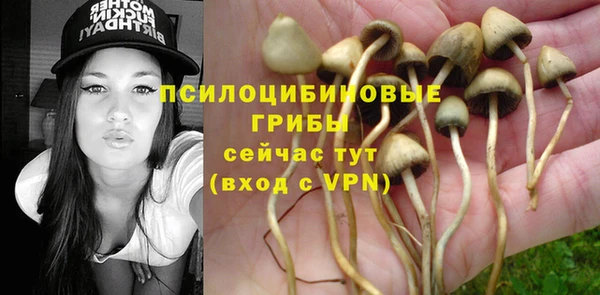 ПСИЛОЦИБИНОВЫЕ ГРИБЫ Алексеевка